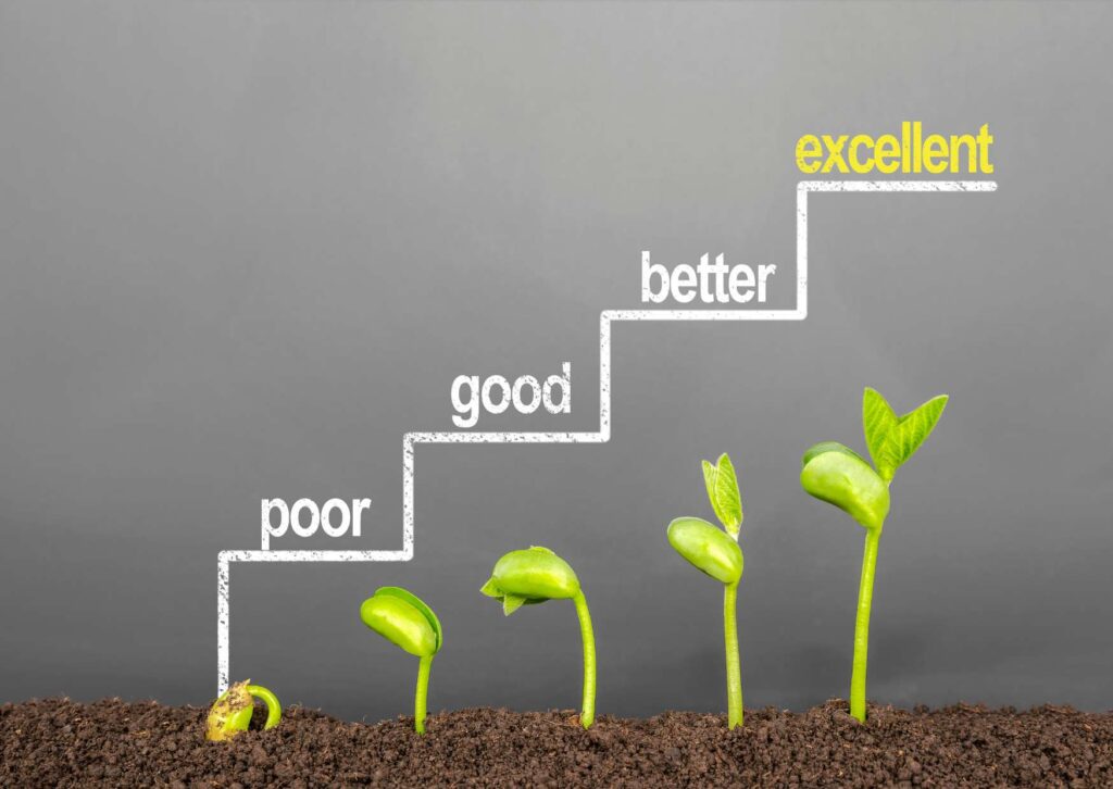 Leadership Excellence Mastery