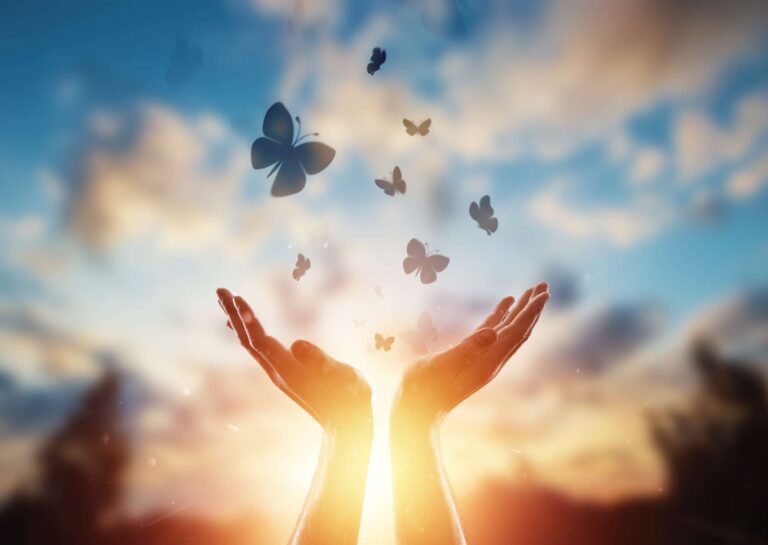 The Art of Forgiveness