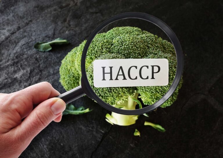 Food Hygiene Level 2 Certification