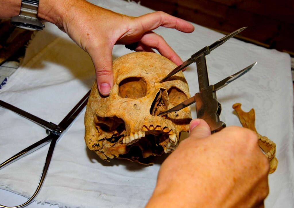 Anthropology Fundamentals