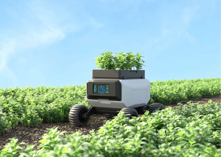 Agricultural Sustainability Practices