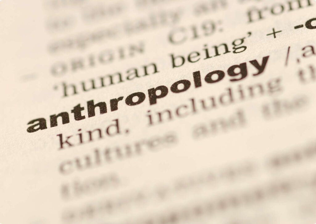 Anthropology Insights