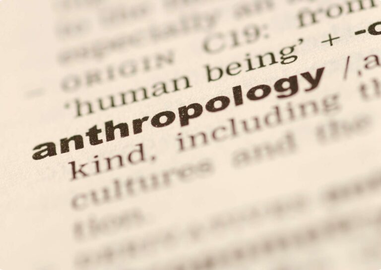 Anthropology Insights