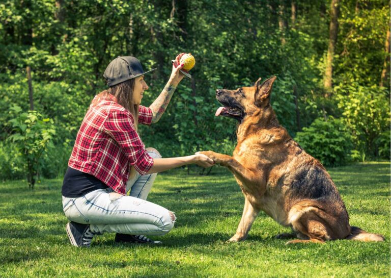Canine Training Certification