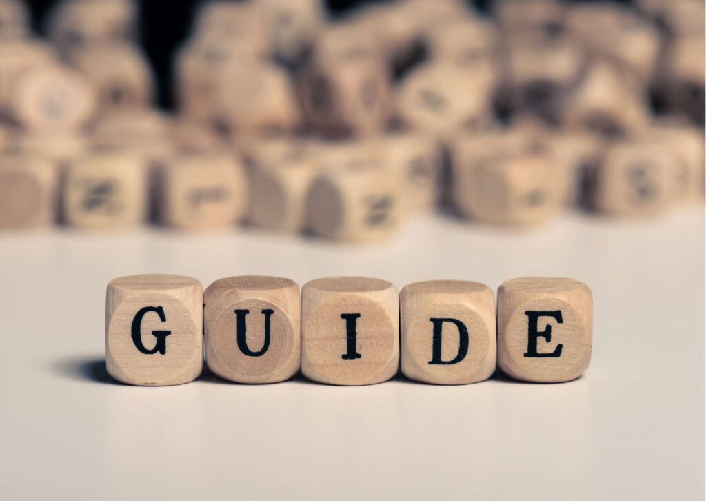 Champion’s Guide: Strategies for Success