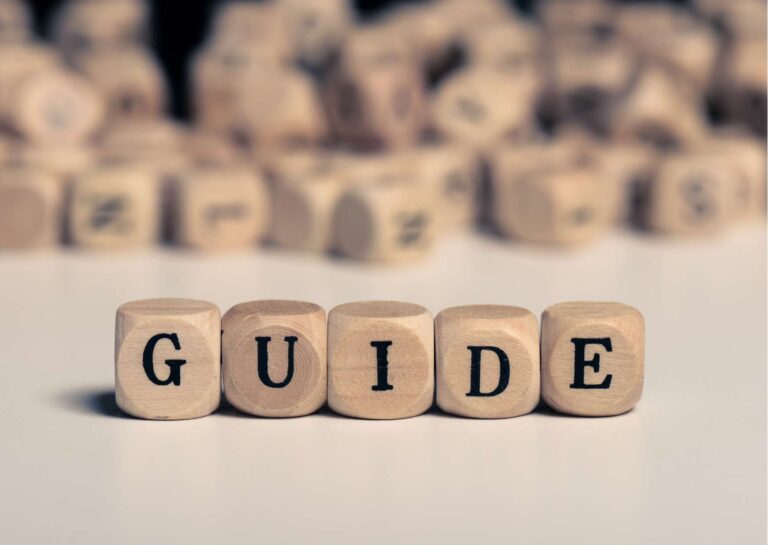 Champion’s Guide: Strategies for Success