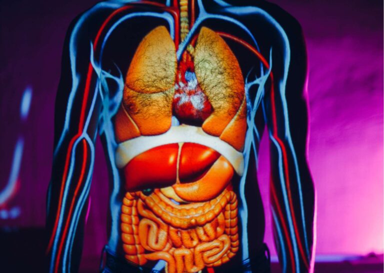 Diploma in Anatomy and Physiology