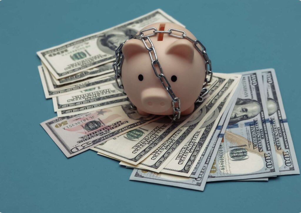 Frugal Strategies Intensive