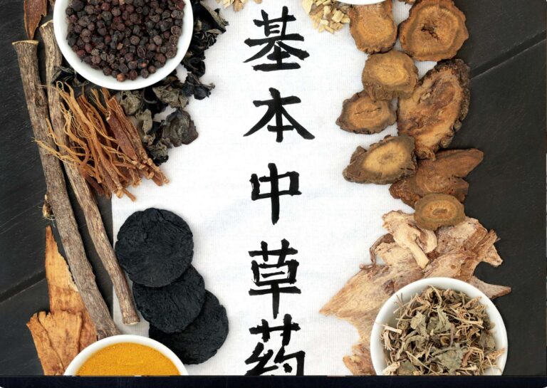 Fundamentals of Chinese Cooking