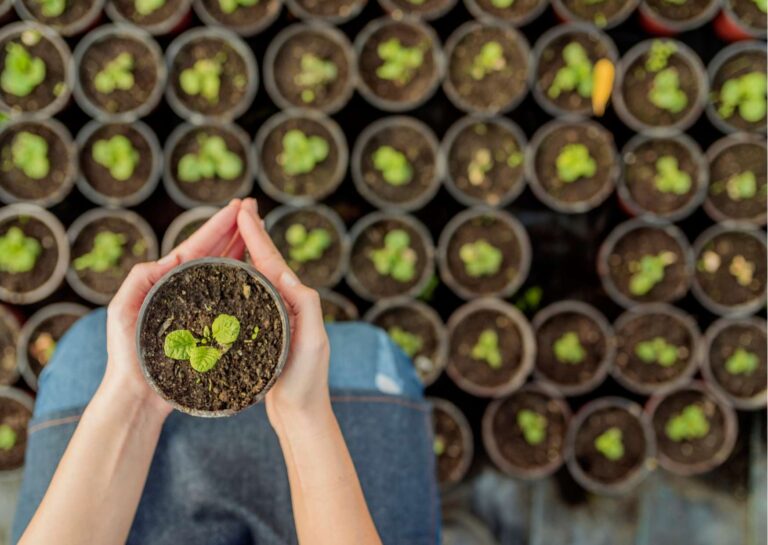 Horticulture Overview