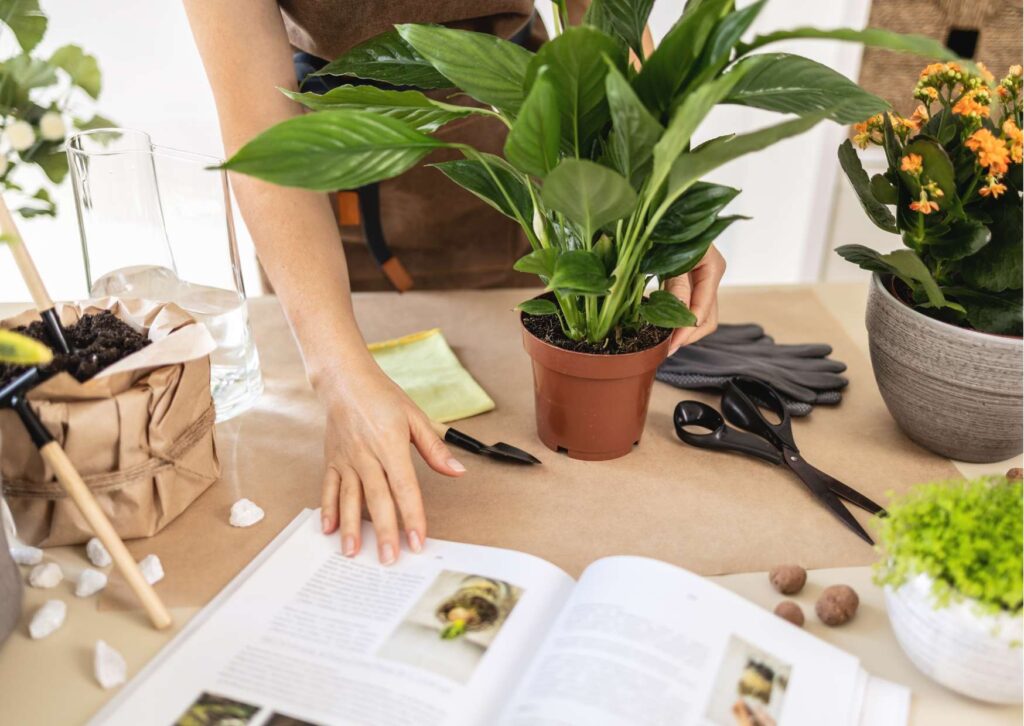 Gardening Techniques Workshop