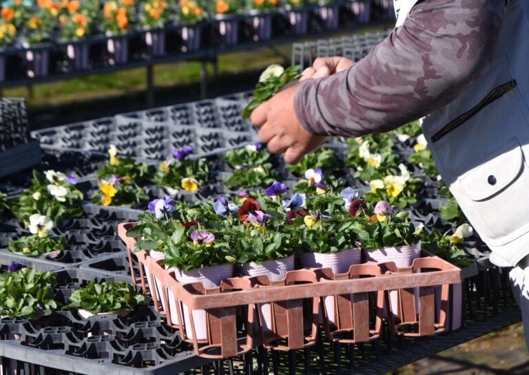 Sales Mastery: Excellence in Selling Cultivation