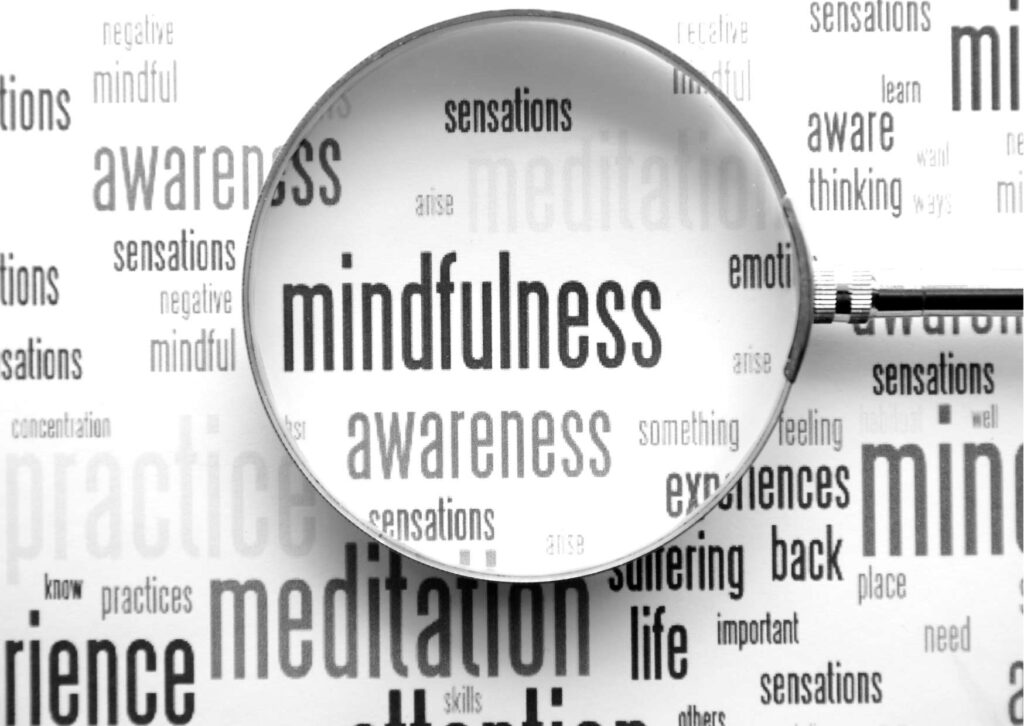 Mindful Mastery Series: Practices and In-Depth Manual Guidance