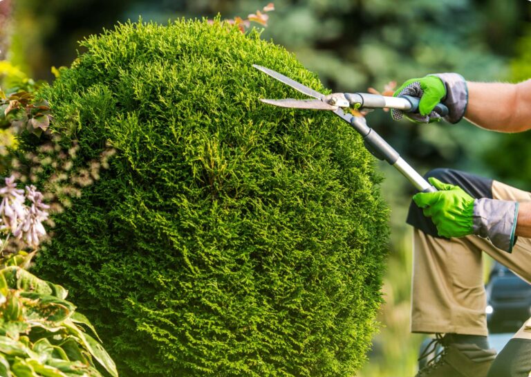 Online Tree Trimming Safety Training