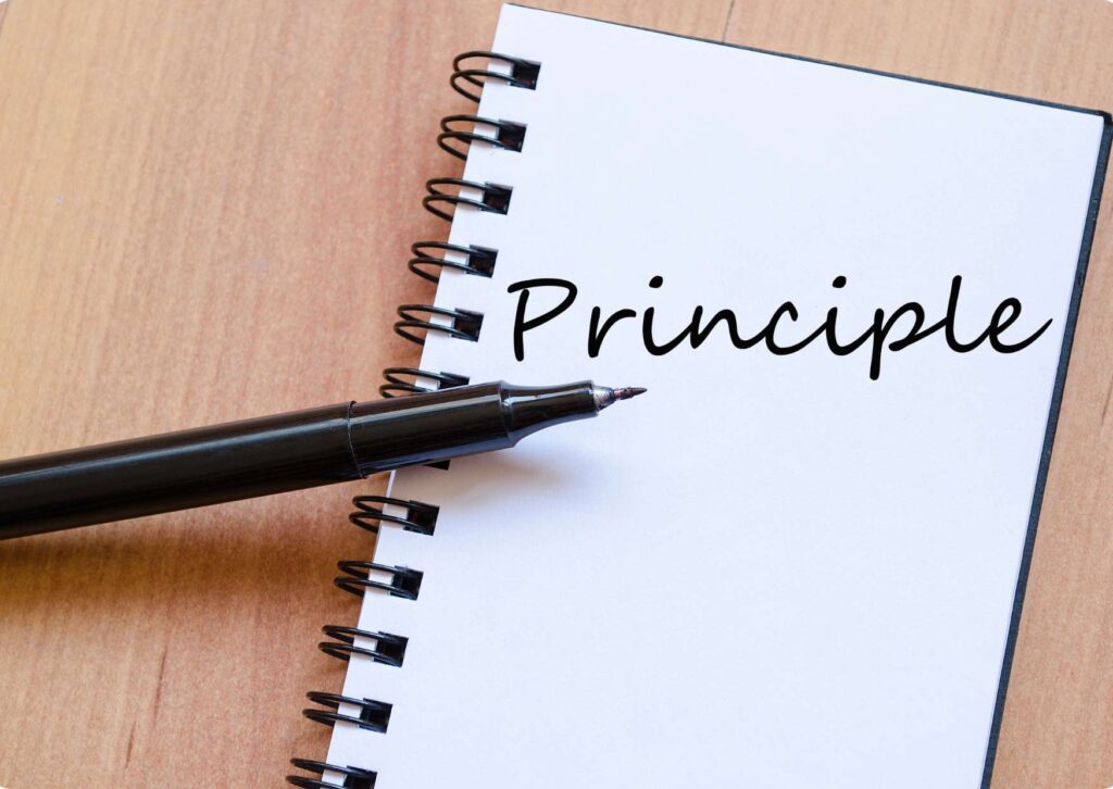 Primary Educator Pedagogical Principles