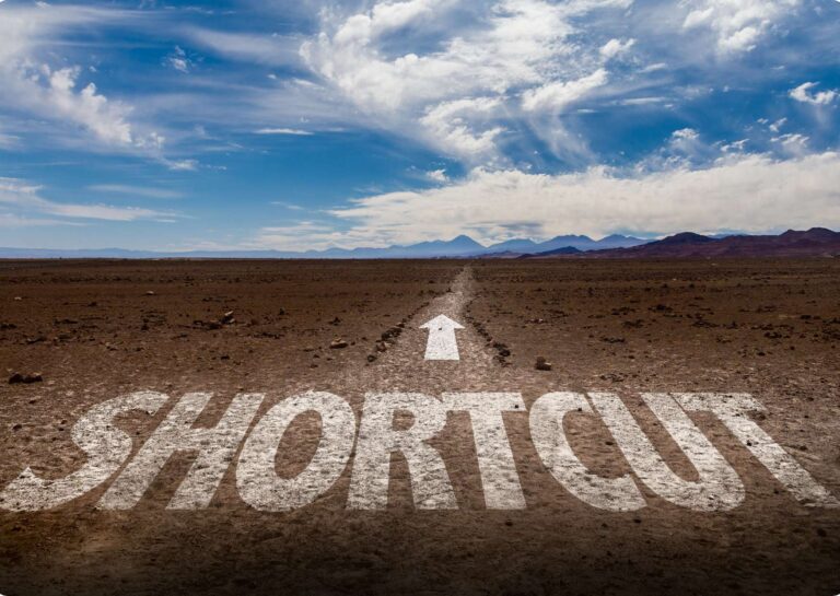 Profit Shortcut: Rapid Insight for Success