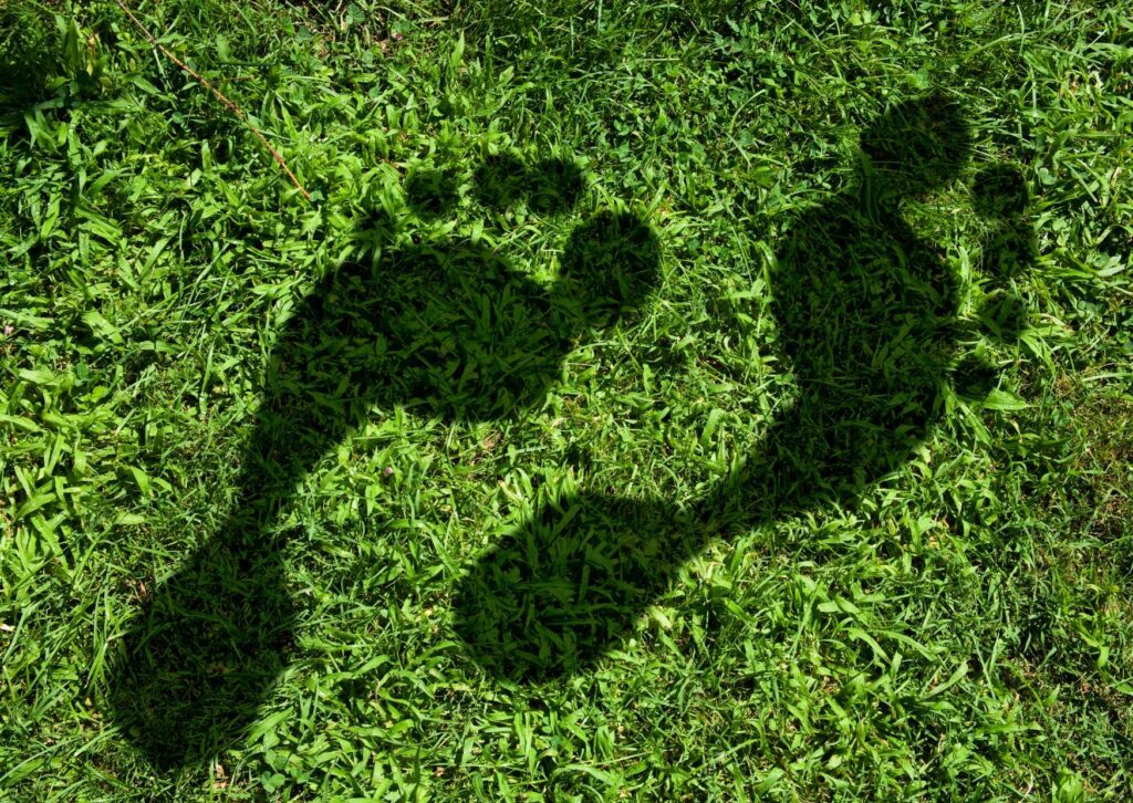 Carbon Footprint Diploma