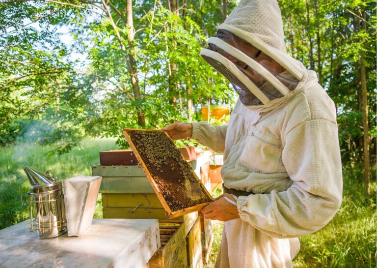 Beekeeping Skills Certification