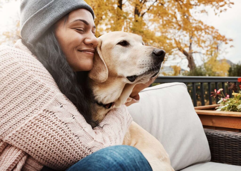Canine Companionship Accreditation