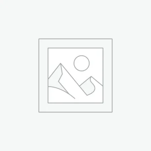 Data Visualization Techniques